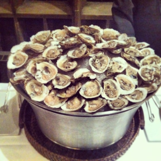 oysters